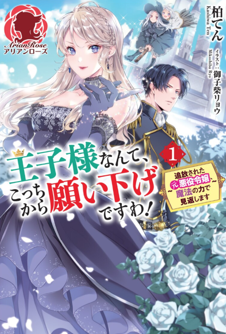 Ouji-sama Nante, Kocchi Kara Negaisage Desu wa!