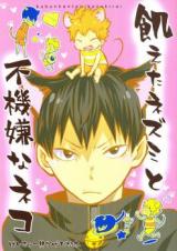 Haikyu!! dj - Ueta Nezumi to Fukigen na Neko