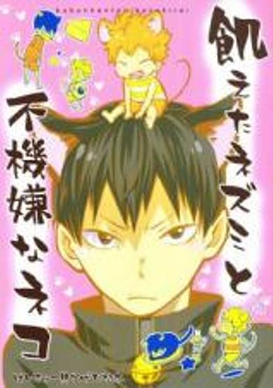 Haikyu!! dj - Hungry mouse and grumpy cat