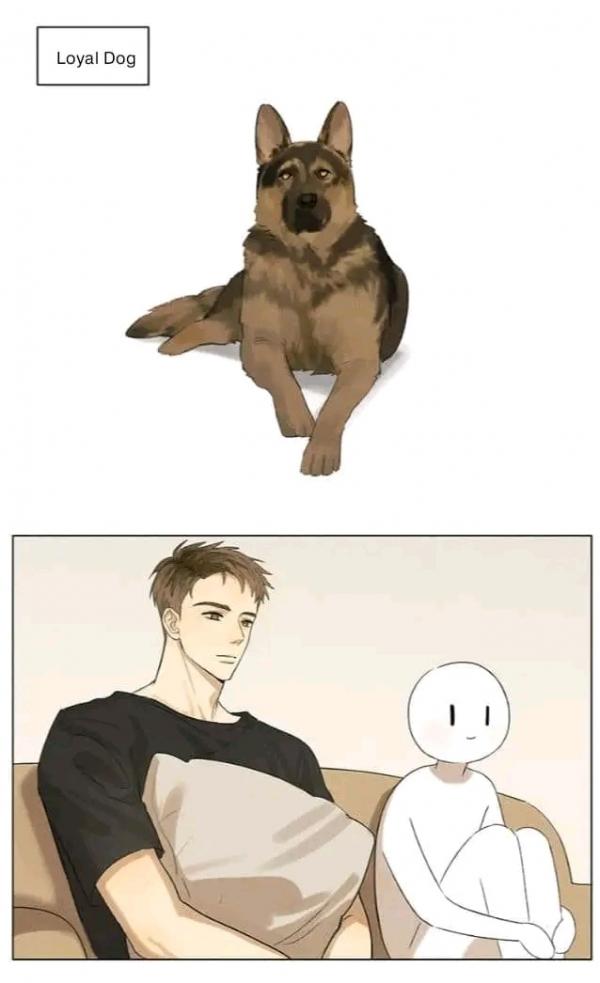 Butong Leixing de Quan xi Nanyou