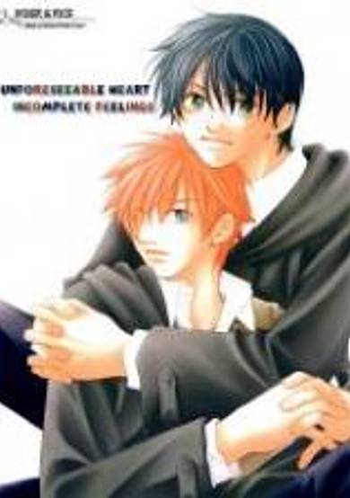 Harry Potter dj - Unforeseeable Heart - Incomplete Feelings