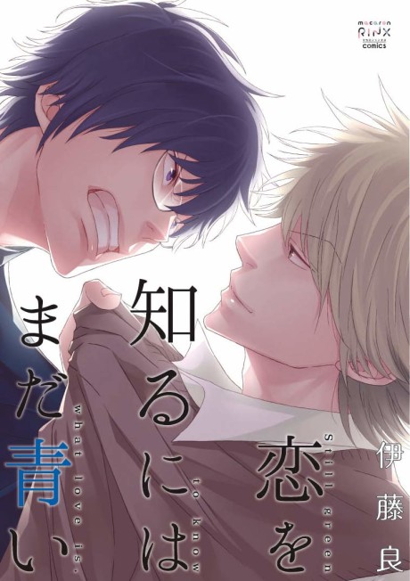 Koi wo Shiru ni wa Mada Aoi
