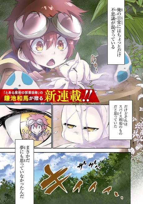 Shin Kaku Gi Kou to 11 no Hakaimono