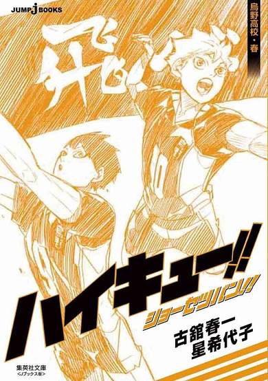 Haikyuu!! Shousetsuban!! Karasuno Koukou