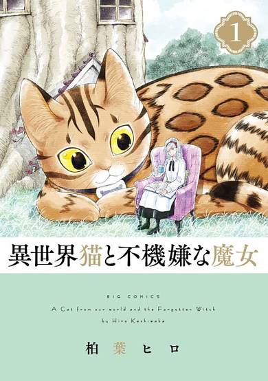 A Cat from Our World and the Forgotten Witch image