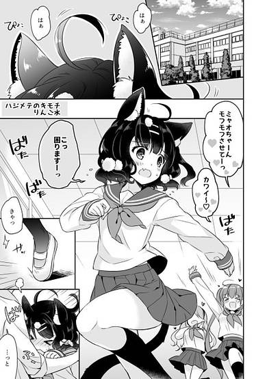 Hajimete no Kimochi