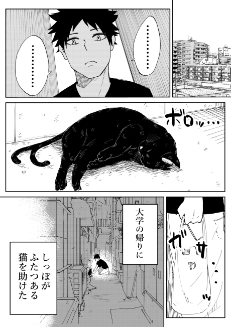 Doushitemo Ningen no Oyome-san ni Naritai Bakeneko no Ohanashi