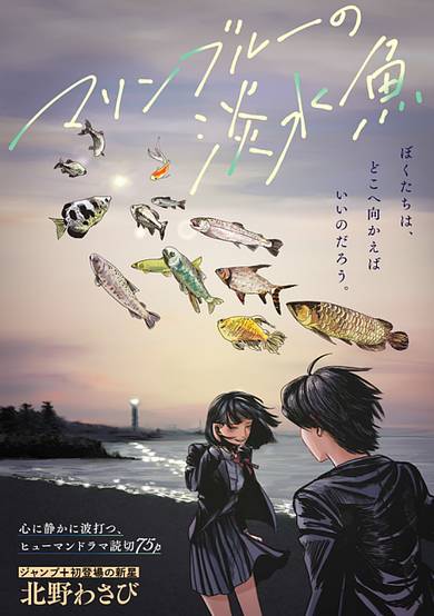 Marine Blue Fish