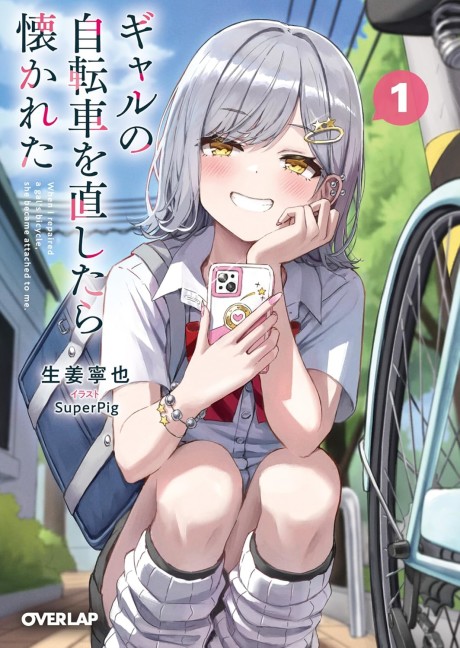 Gal no Jitensha wo Naoshitara Natsukareta