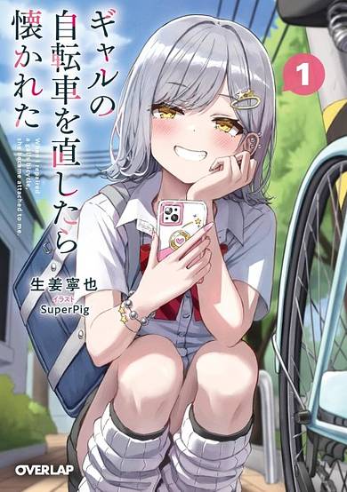 Gal no Jitensha wo Naoshitara Natsukareta