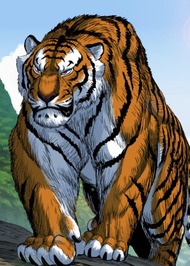 Tiger Brother Barkhan - Part 2