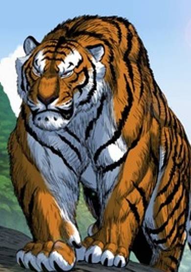 Tiger Brother Barkhan - Part 2