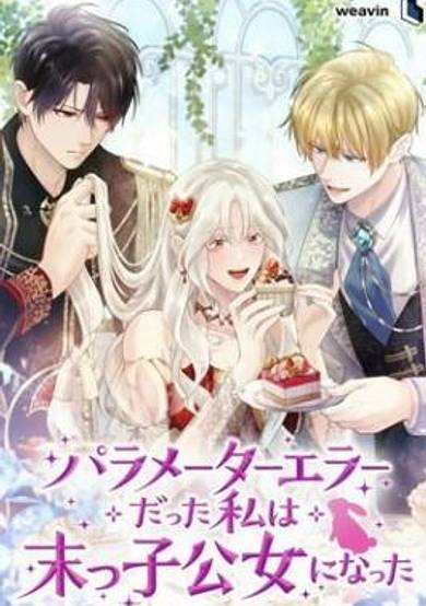 The Youngest Princess of the Northern Duke's Setting Error