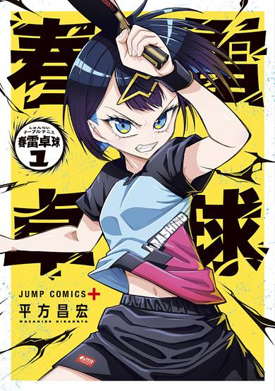 Shunrai Table Tennis