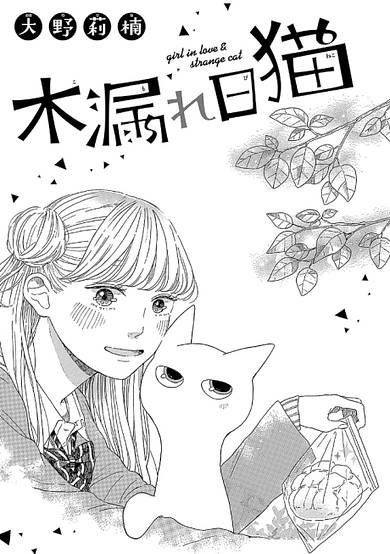 Komorebi Neko image
