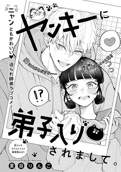 Yankee ni Deshiiri Saremashite.