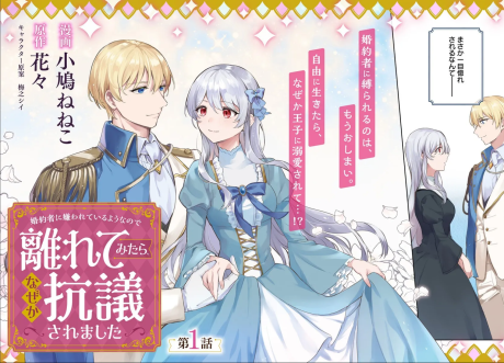 Konyakusha ni Kirawareteiru You na node Hanaretemitara, Nazeka Kougi Saremashita