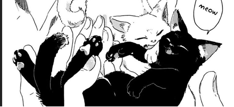 Yuki no Shita no Qualia