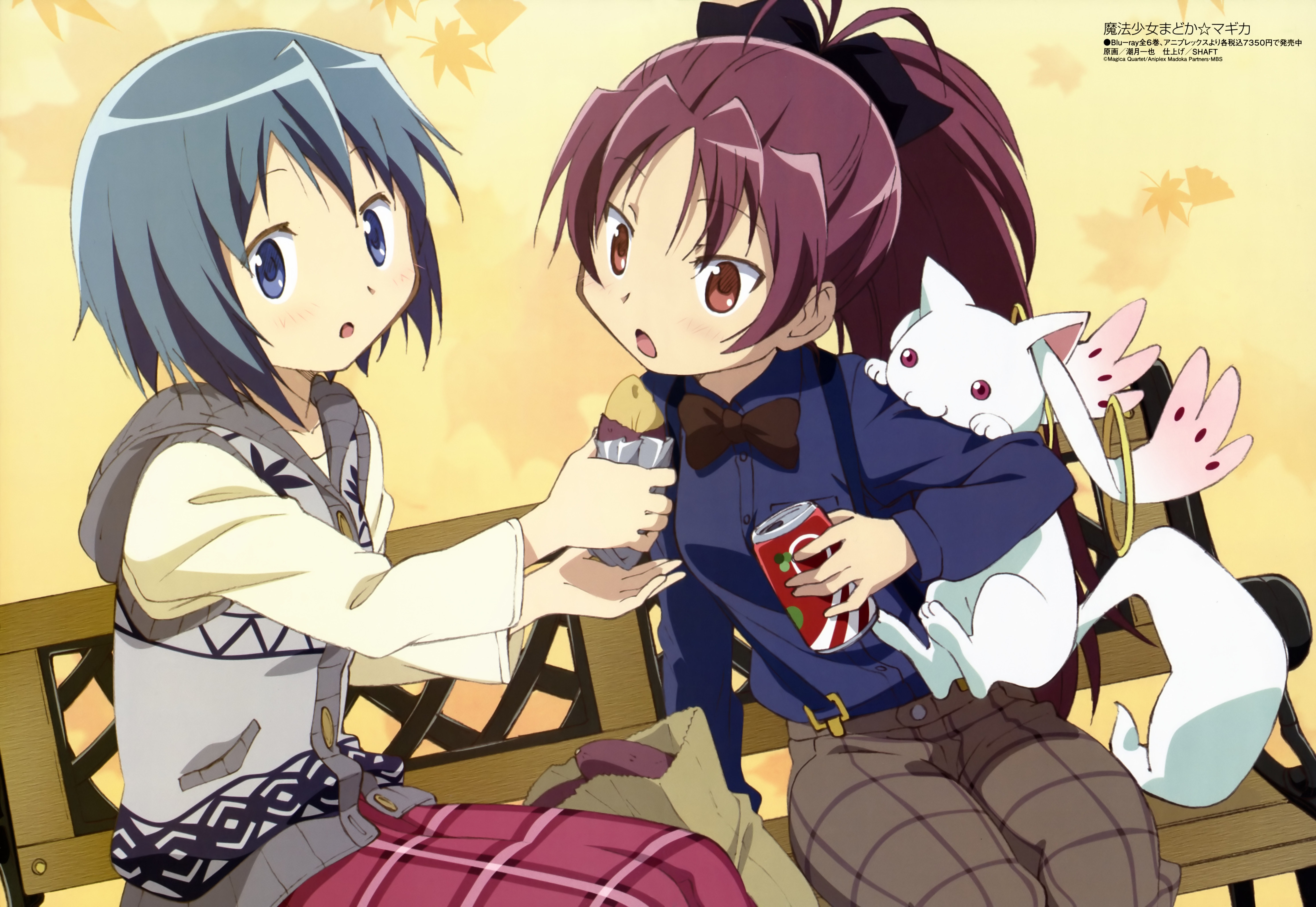 [Mahou Shoujo Madoka Magica] Sakura Miki 2M