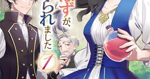 Seijo no Hazu ga, Douyara Nottoraremashita