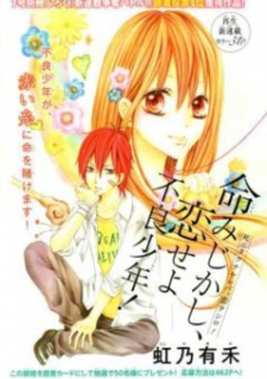 Inochi Mijikashi, Koiseyo Furyou Shounen!