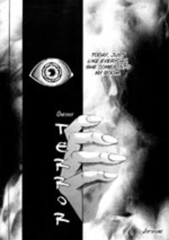 Terror cover
