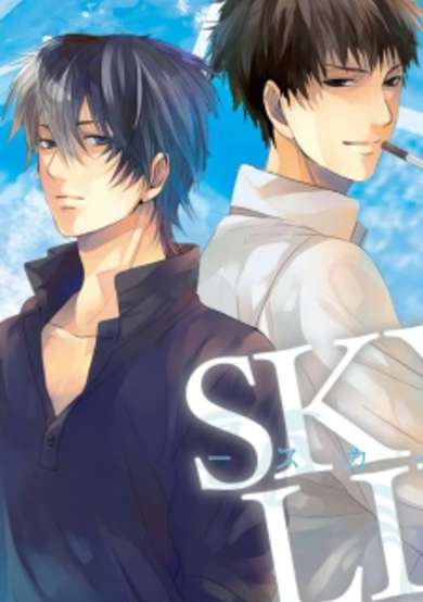 Sky Link