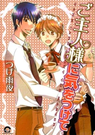 Goshujinsama ni Ki wo Tsukete image