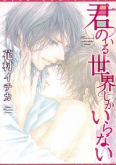 Kimi no Iru Sekai shika Iranai image