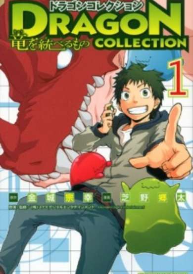 Dragon Collection: Ryuu wo Suberumono