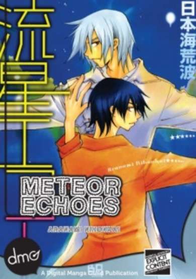 Meteor Echoes image