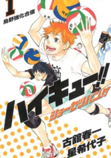 Haikyuu!! Shousetsu-ban!!