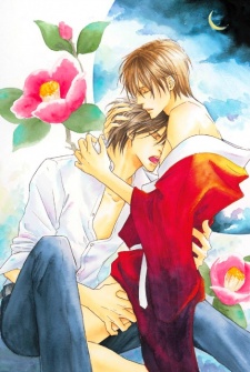 Shizuku Hanabira Ringo no Kaori