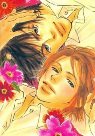 Kawaii Hito