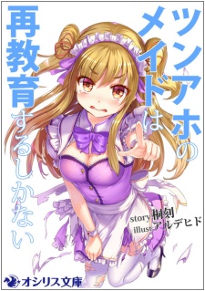 Tsun-Aho no Maid wa Saikyouiku suru Shikanai