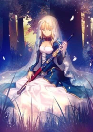 Fate/stay night: Garden of Avalon