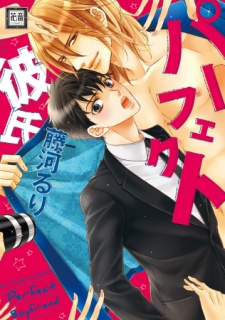 Perfect Kareshi