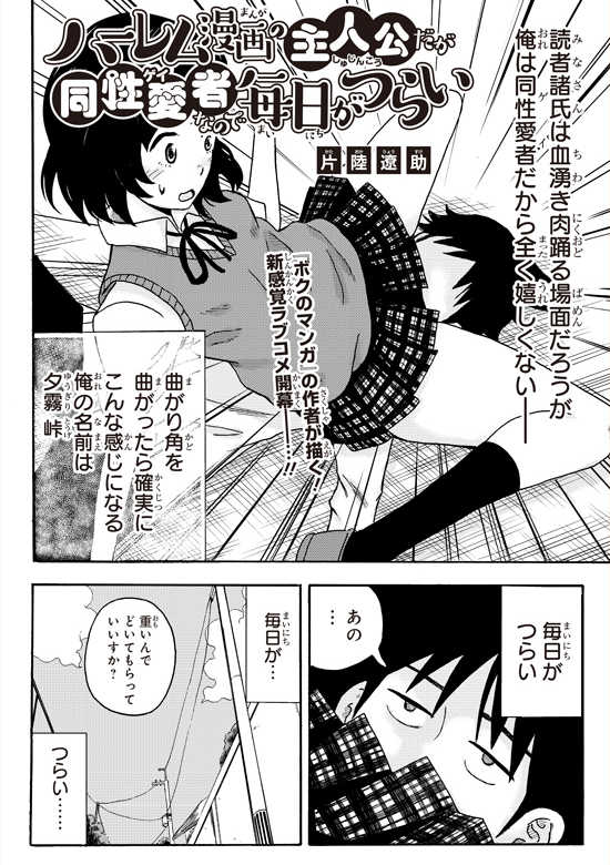 Harem Manga no Shujinkou daga Gay nano de Mainichi ga Tsurai