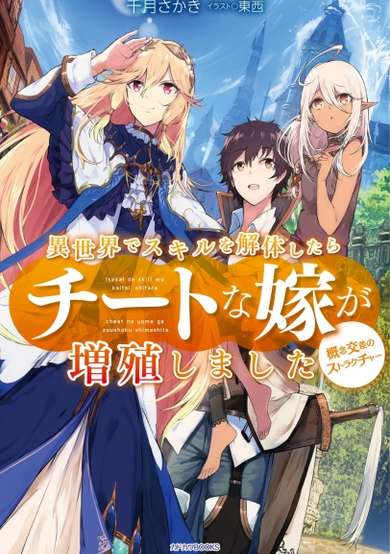 Isekai de Skill wo Kaitai shitara Cheat na Yome ga Zoushoku Shimashita: Gainen Kousa no Structure image