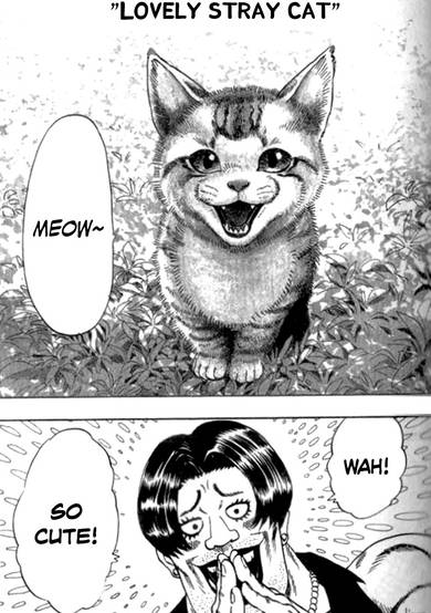 Lovely Stray Cat image