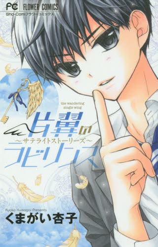 Katayoku no Labyrinth - Satellite Stories -