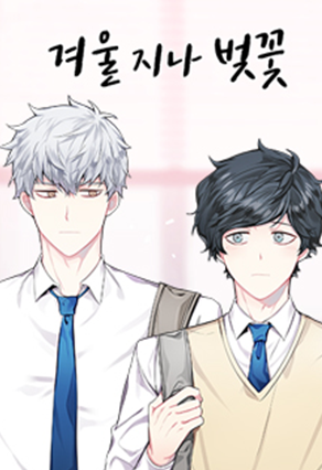 Cherry Blossoms After Winter