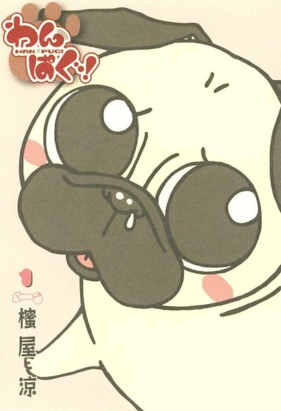 Wan Pug!