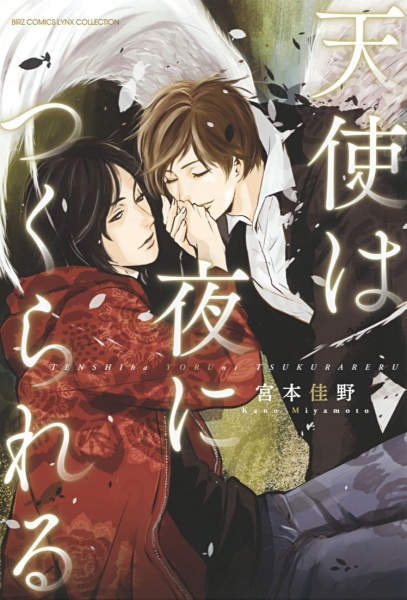 Tenshi wa Yoru ni Tsukurareru