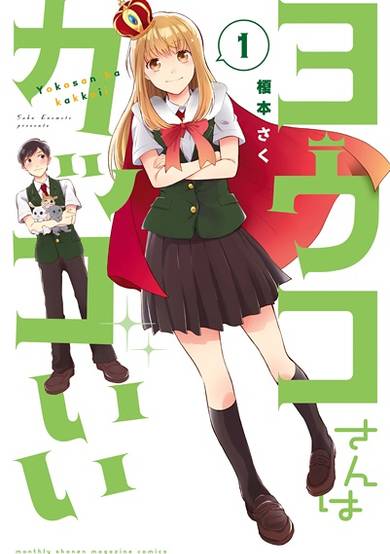 Youko-san wa Kakkoii image