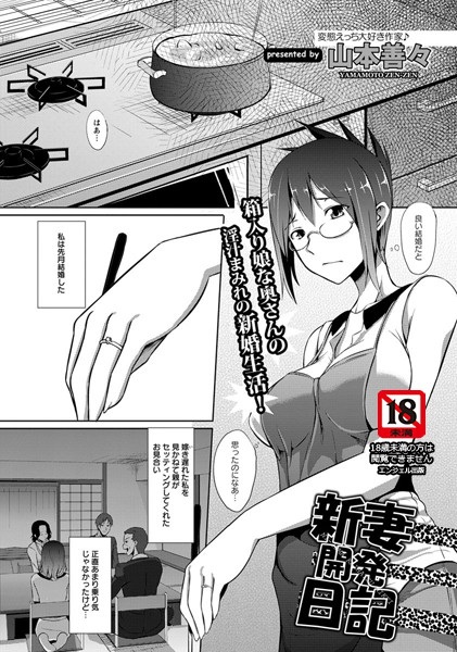 Niīzuma Kaihatsu Nikki