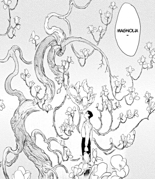 Magnolia