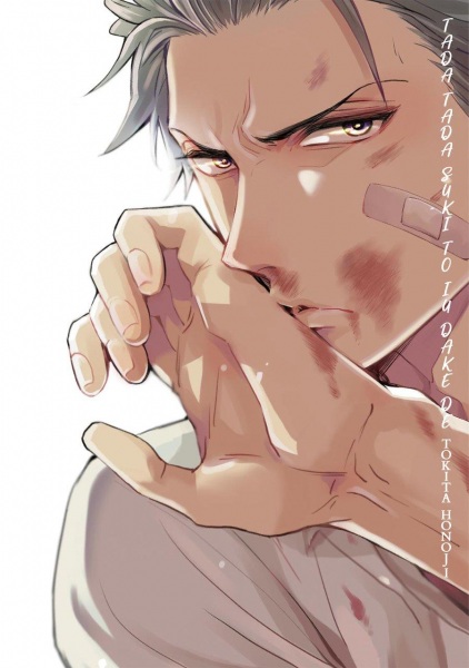 Tadatada Suki to Iu Dake de