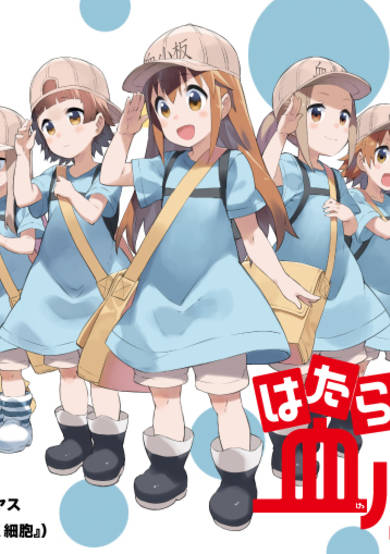 Cells at Work: Platelets!