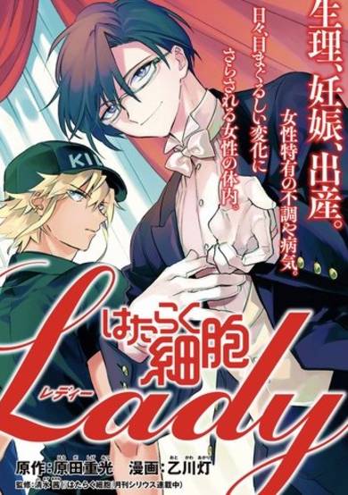 Cells at Work! Lady